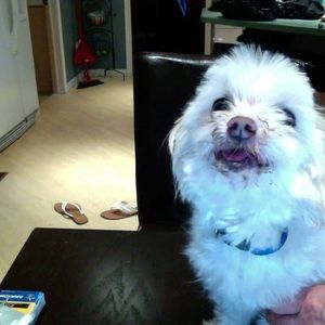 Meet your Posher, Marjolaine